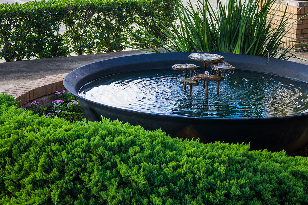 Landry's Landscape Portfolio